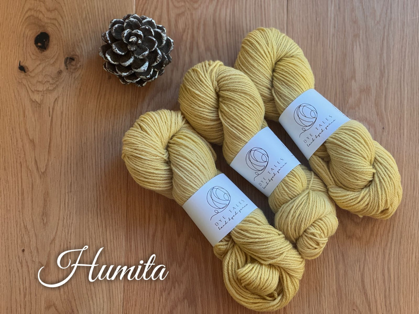 Patagonia Sport- Humita