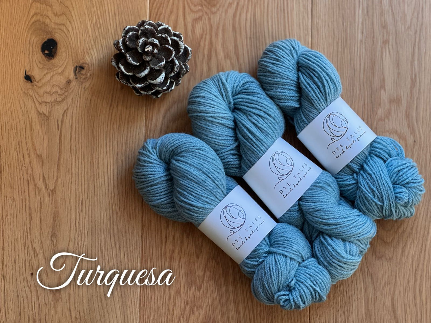 Patagonia Sport- Turquesa