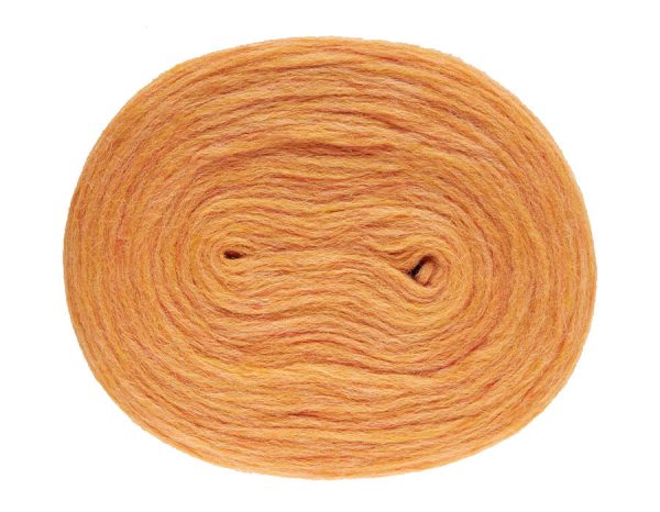 Plotulopi – Chirimoya alegre 2028