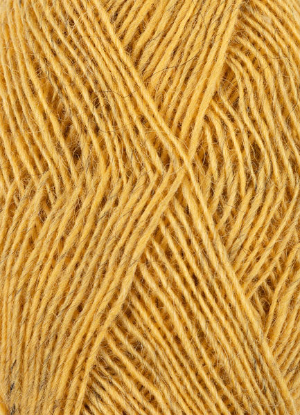 Fjallalopi – Amarillo verano 3040