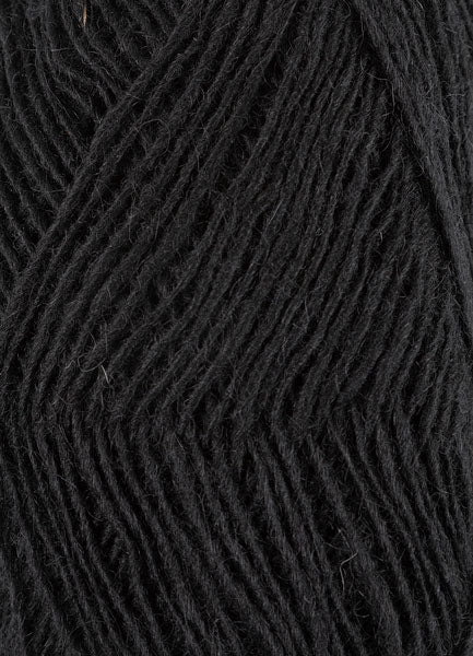 Fjallalopi – Cuervo negro 3059