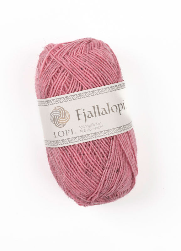 Fjallalopi – Rosa brumoso 3071