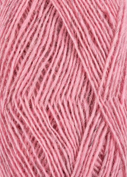 Fjallalopi – Rosa brumoso 3071