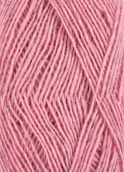 Fjallalopi – Rosa brumoso 3071