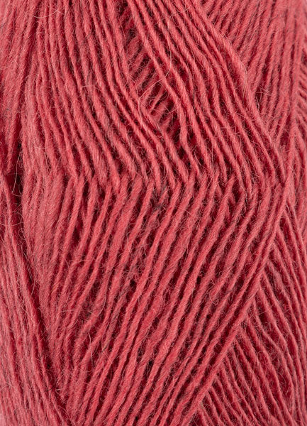 Fjallalopi – Ruibarbo 3072