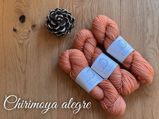 Patagonia Sport- Chirimoya alegre
