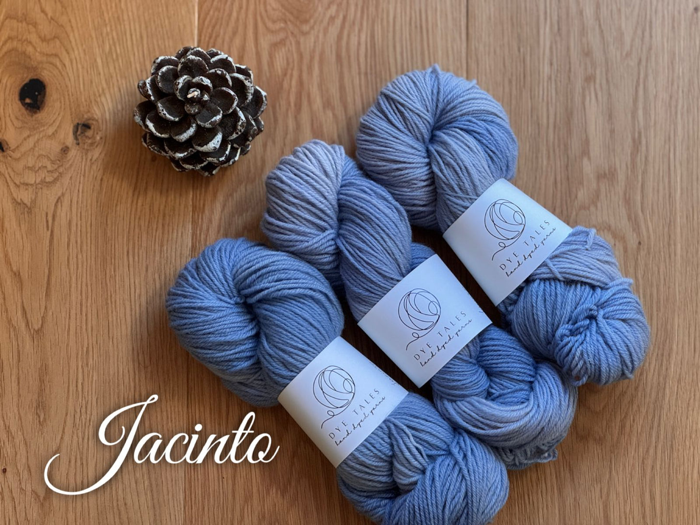 Patagonia Sport- Jacinto