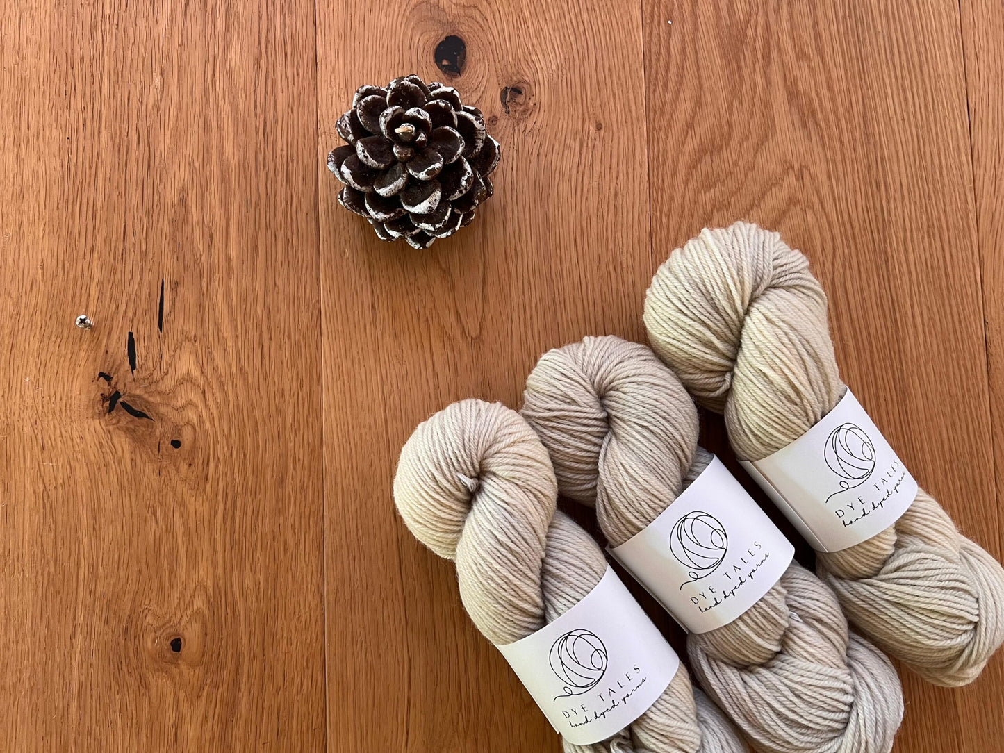 Patagonia Sport - Chaitén