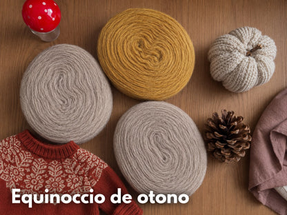 Kit Alpine Sweater con Plotulopi