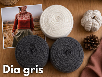Kit Alpine Sweater con Plotulopi