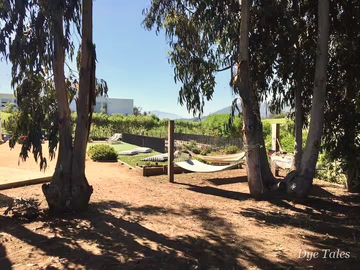 Jardín con hamacas de la casa del retiro