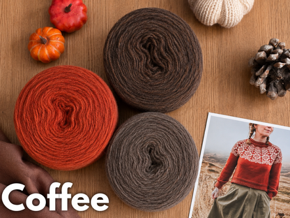 Kit Alpine Sweater con Plotulopi