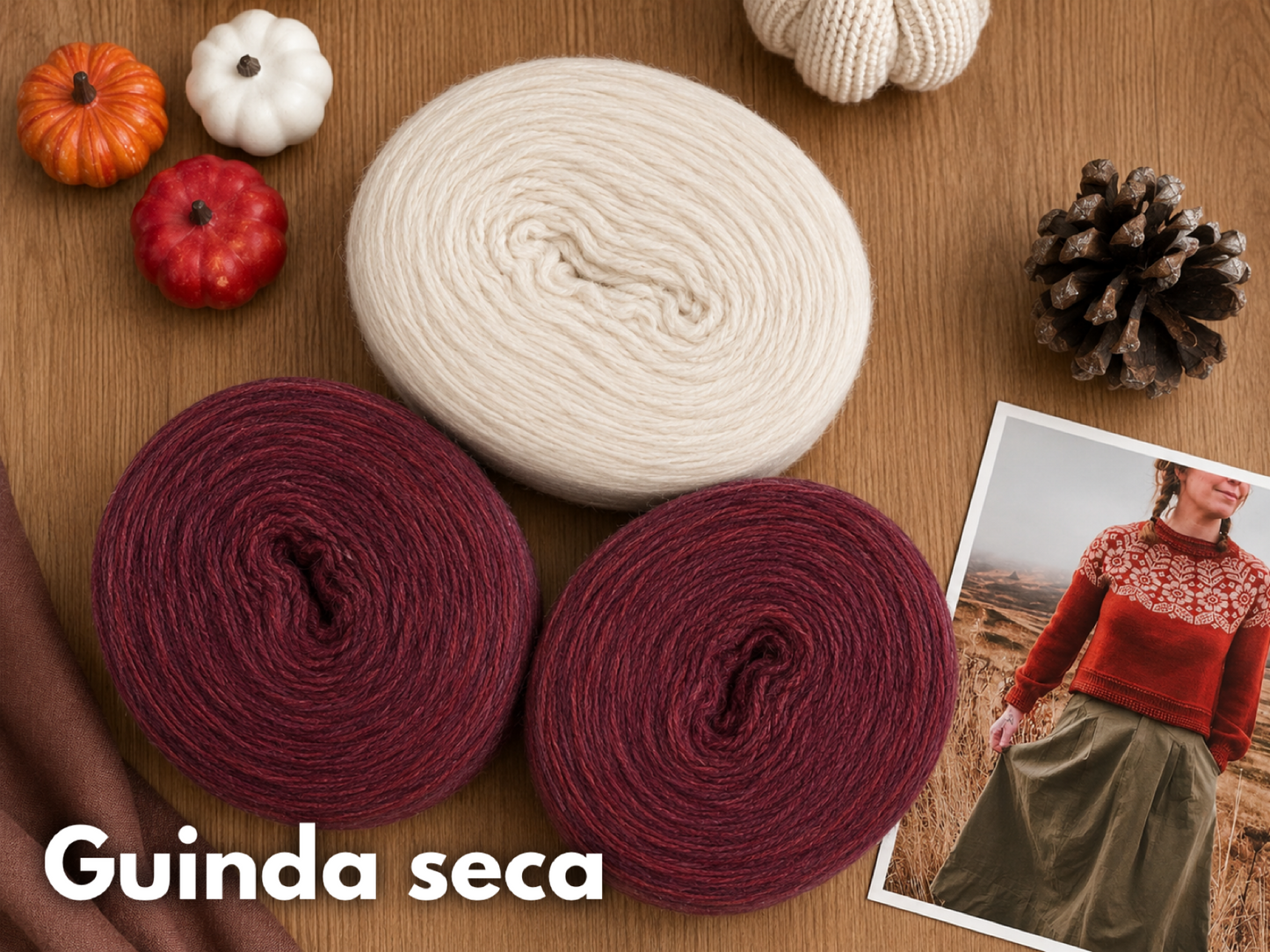 Kit Alpine Sweater con Plotulopi