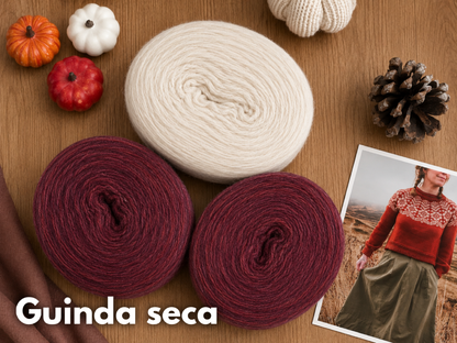 Kit Alpine Sweater con Plotulopi