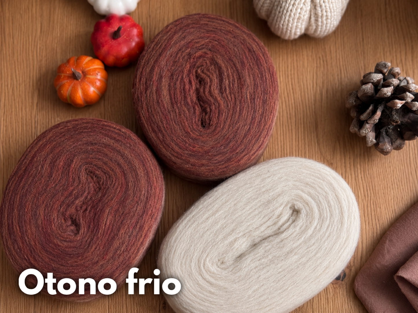 Kit Alpine Sweater con Plotulopi