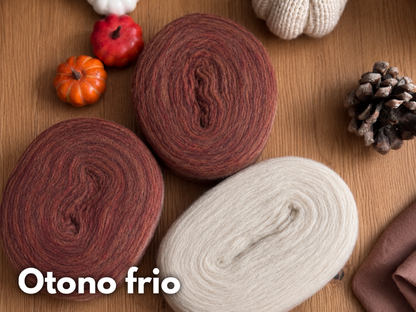 Kit Alpine Sweater con Plotulopi