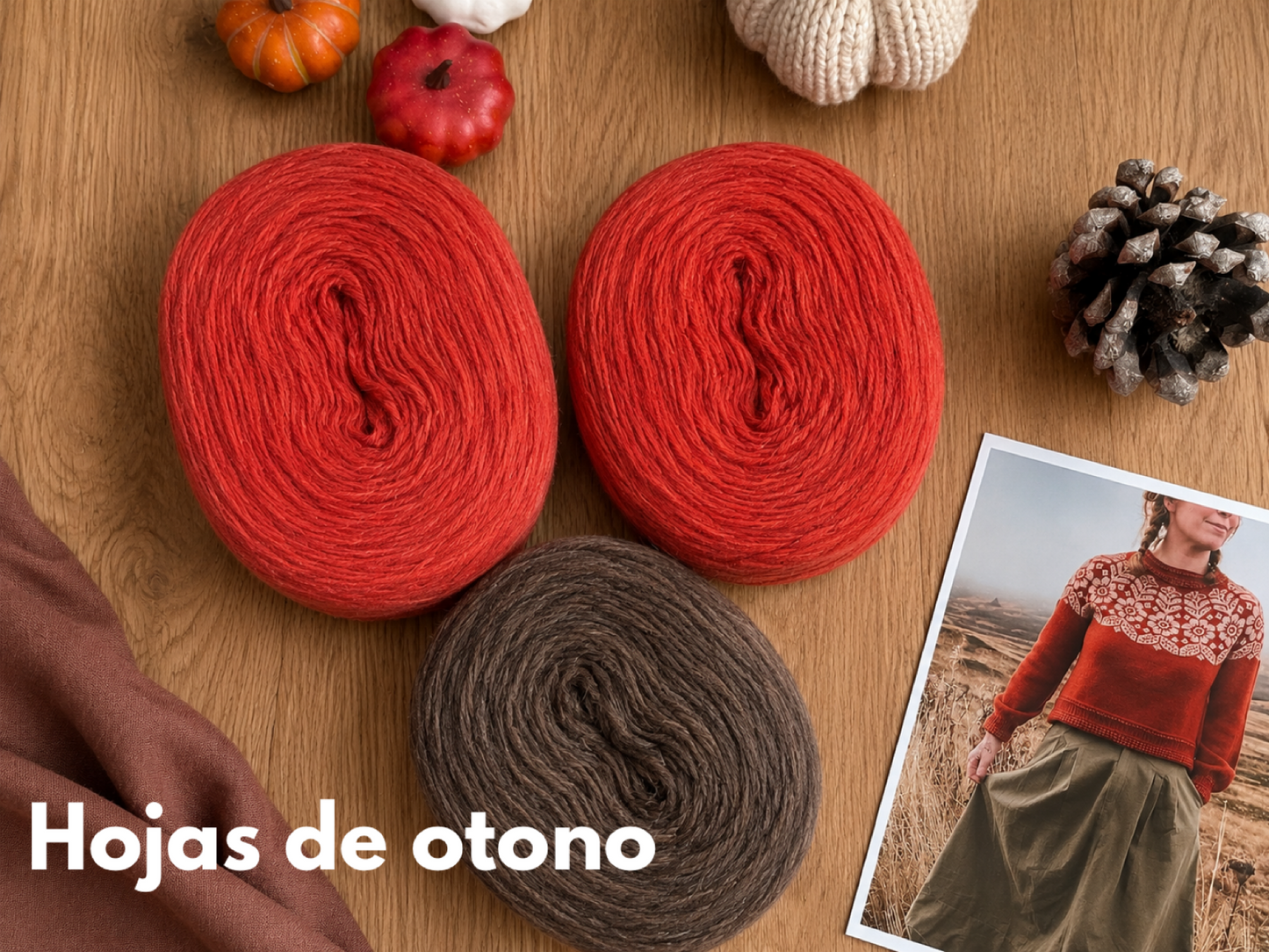 Kit Alpine Sweater con Plotulopi
