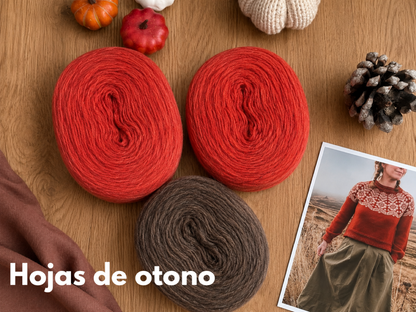 Kit Alpine Sweater con Plotulopi