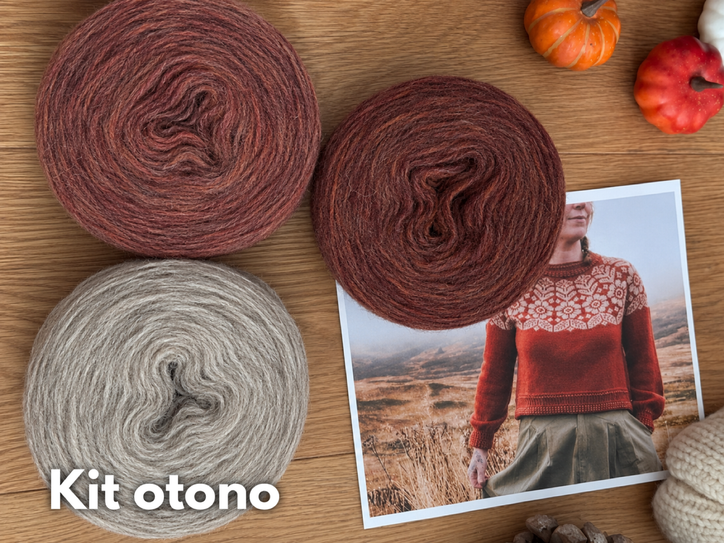 Kit Alpine Sweater con Plotulopi